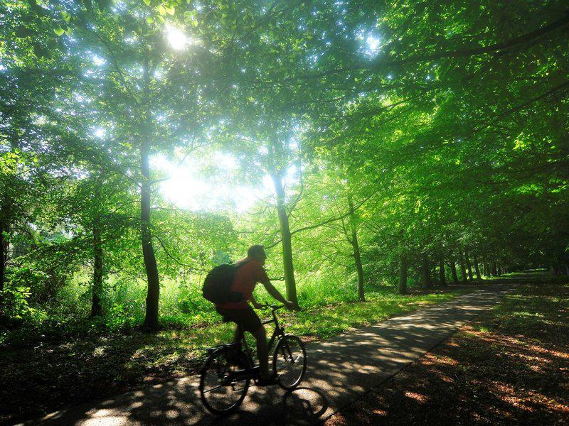 C72F8F14295D59B680C0061199FD5526