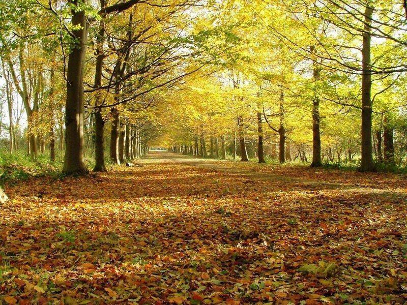 90DA33BC621C1D797F412F7C473D2654