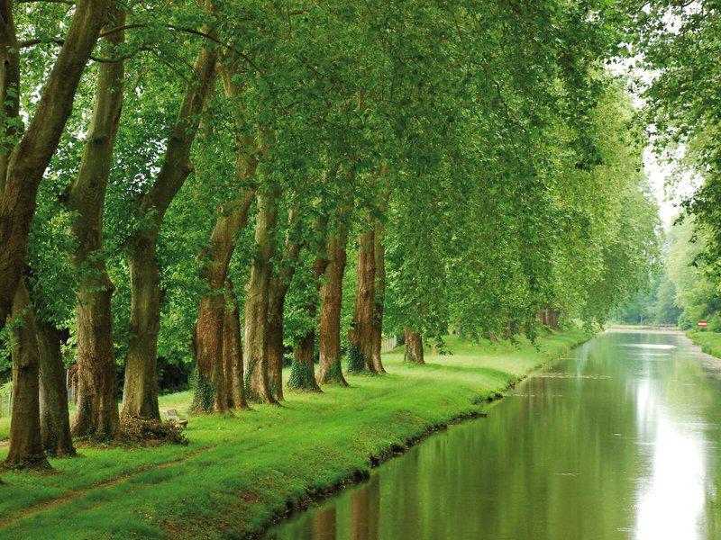 57CD0AE067BFC5AF2EC2035739E3339C