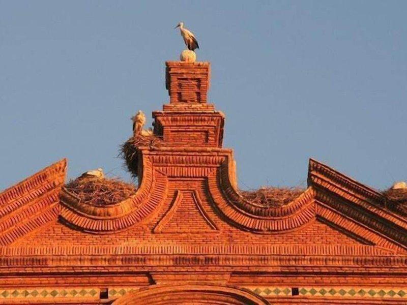 5B163CF899EF9E8993BFF4439E5BCBDF