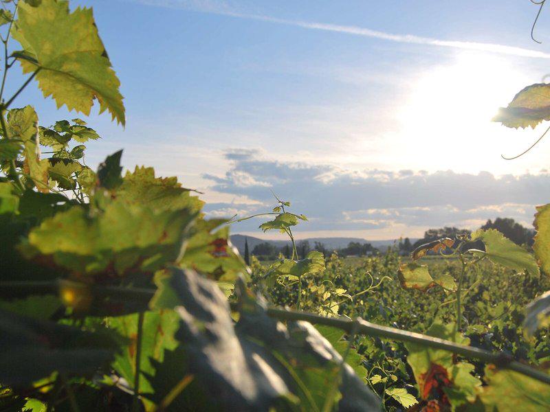 B30B469E4024F3D41F2269FD1B405E11