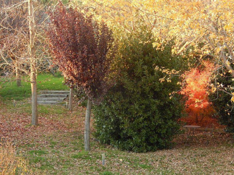 A2B900A716C04212AD340DF97DEAE940