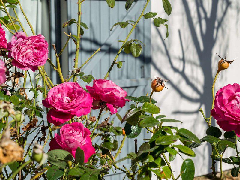 4C8978943DCC08C88B9D5E2834A90DF4