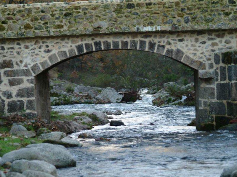 E9C37A764810F2E161D69871D61318CF