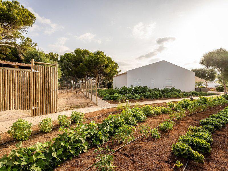 C44F1697C604B459B554A4B15F2844EF