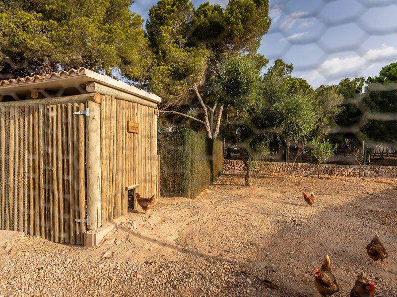 29FB7CB6CE4952A169E1C0FD35F7CCDB