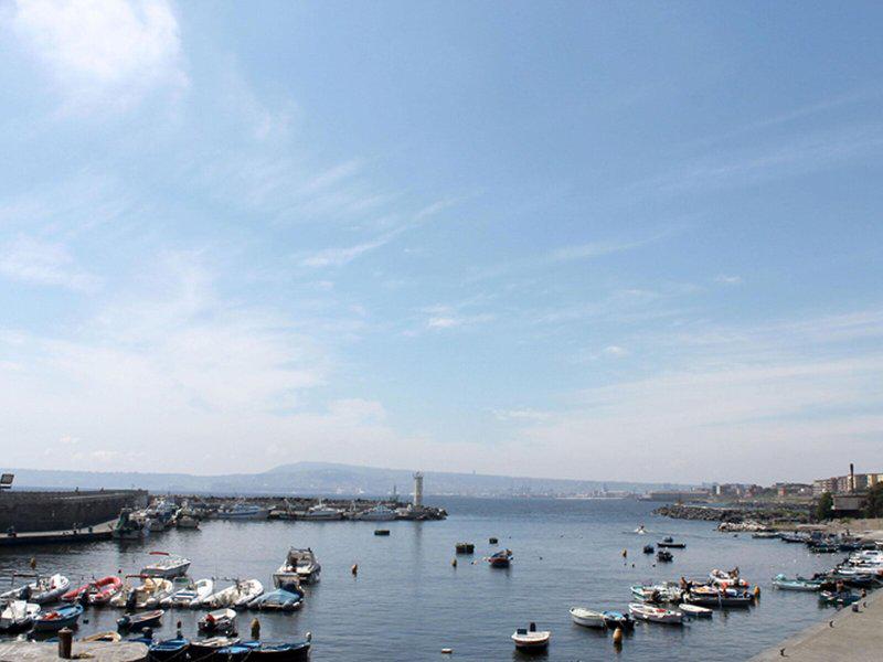 F8C0E446CE3847D07FBF47A752BB7AC2