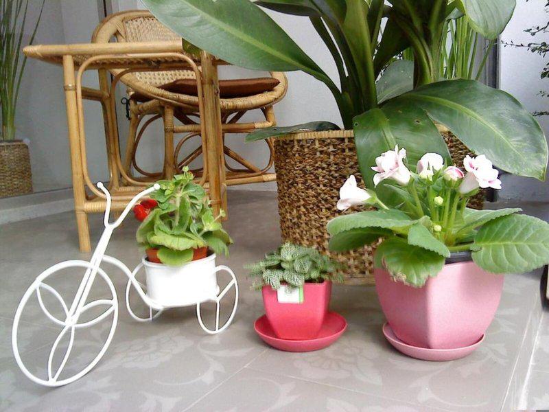 B1F59B7239703D5FBBD11F7B1C4F964C