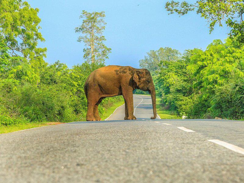 66E1695C9A95F0D8108D2DEA1EEFBDA9