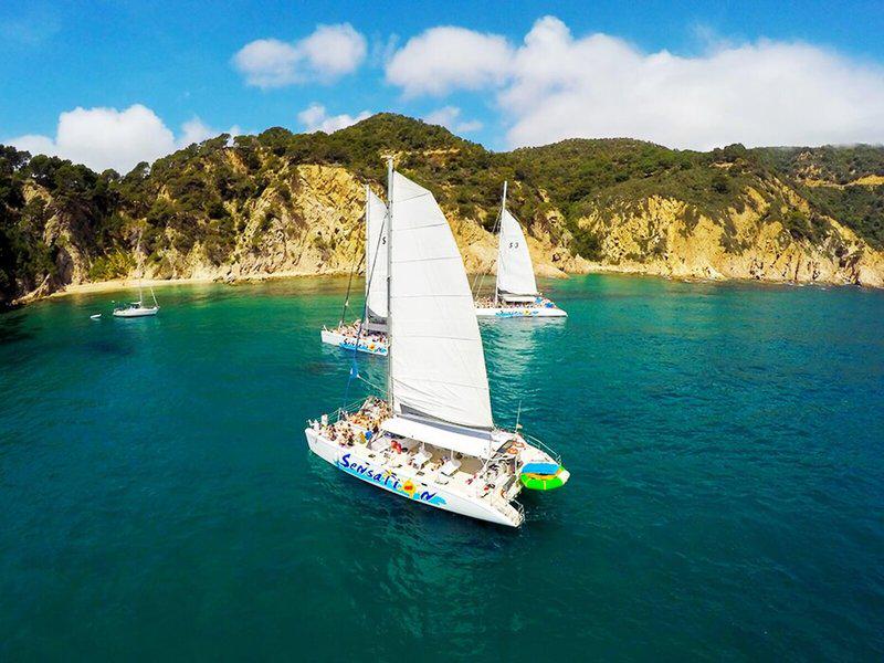 BD68DE77E1FA6B98086D8B2077C5B933