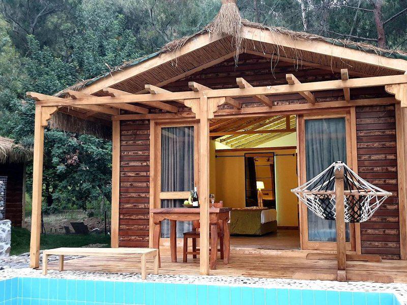 6E218833C7A3F6FC52BF8E9D765DAECB