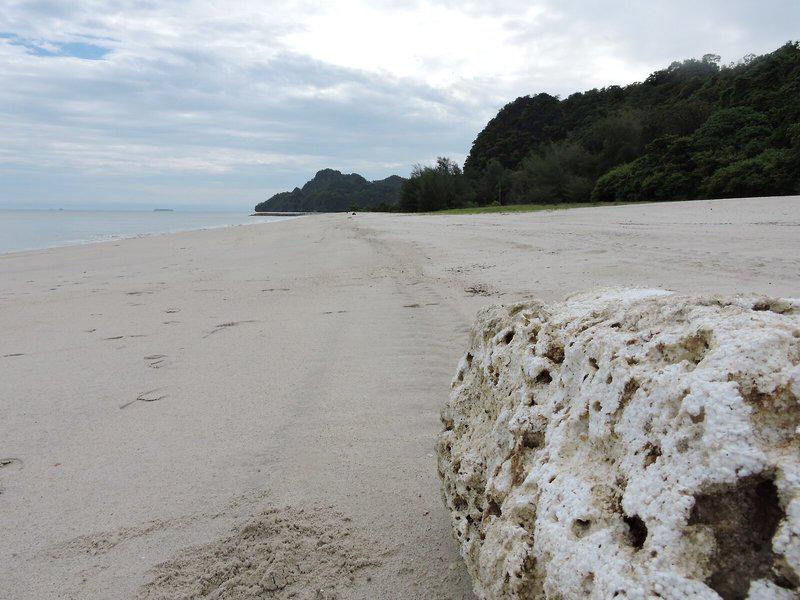 33145895C596079F2EB7912799E6C064