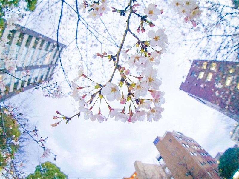 E2B2205B61184A3C6A0AD785E42AC901