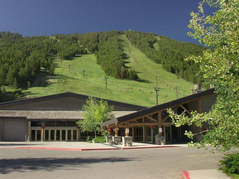 AF2E388C869D8FA4448DD3557A5A05C7