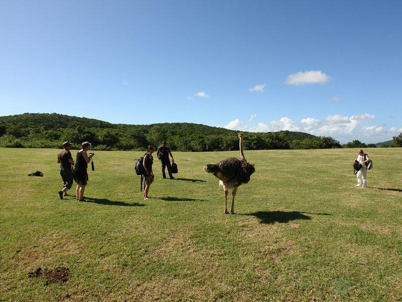 BB252C7BA09DDC1C9C79FA07D4C055AF