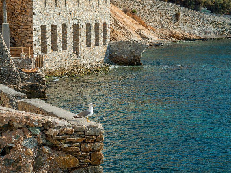 83417B525F14E8B74EF5BCC433FCF8F7