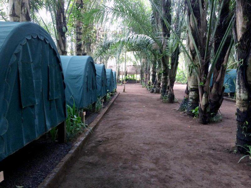 6719BB0D74F4E3489566245F333C3FC5