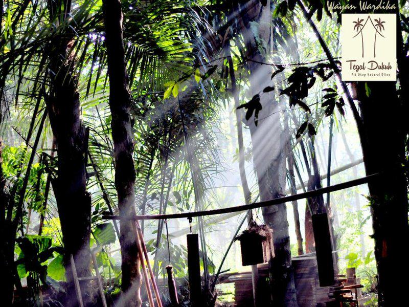 45E672944CB0ECC7F06575D4AE50CF41