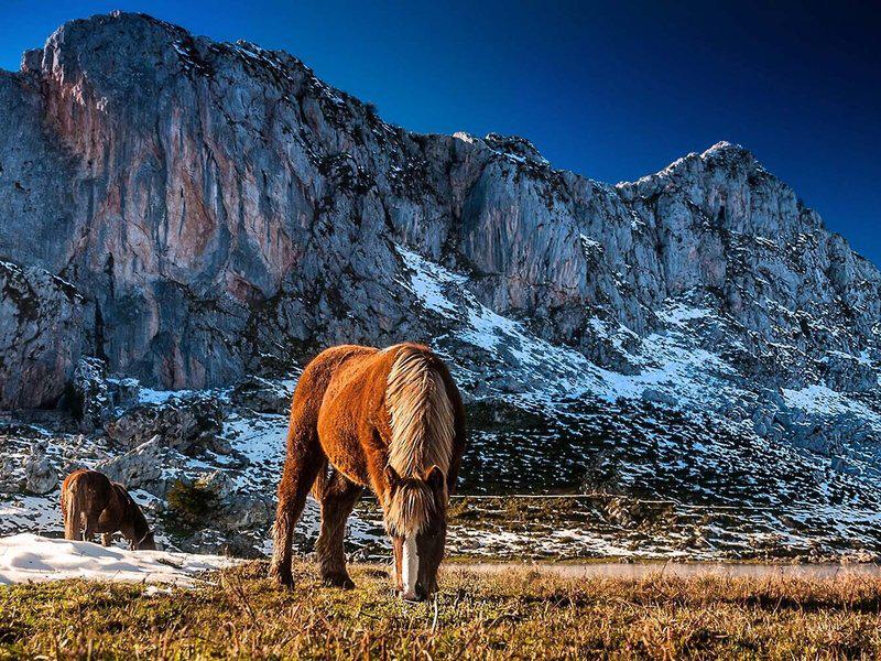 F0284C6DD7FBD09826C624E4A5D92579