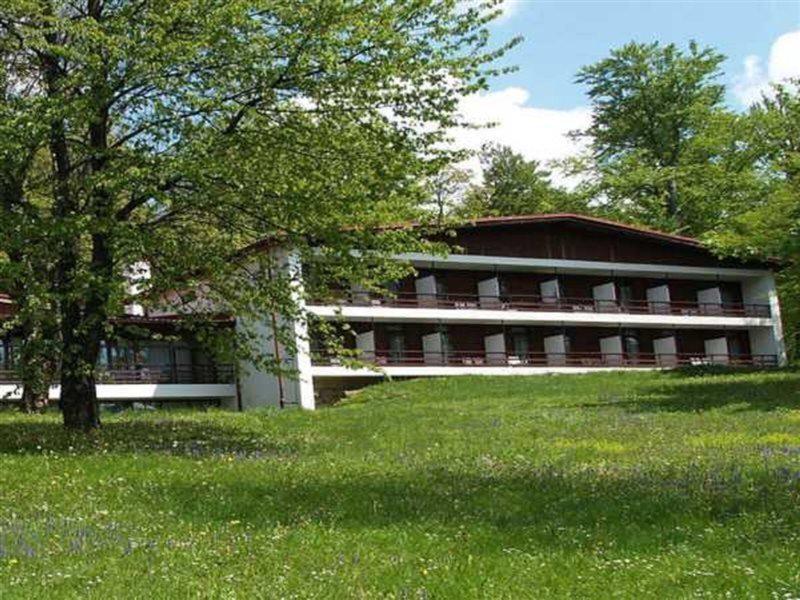 21F0339AD7D2A21F92CF0206F67FCCE1