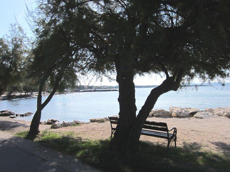 BC2967797E7CF043B8059D67D2027124