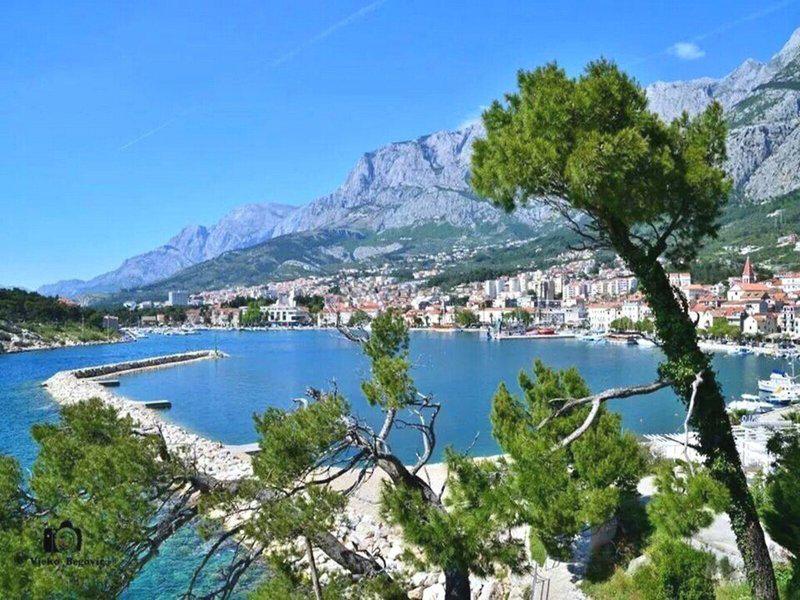 6F6B44A2163D2B127CADD027125ED486