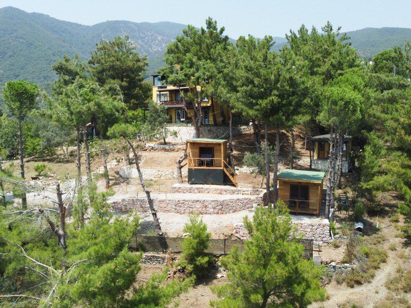 6CAE3BE79DA5245E4718E1FE3EB4B1EB