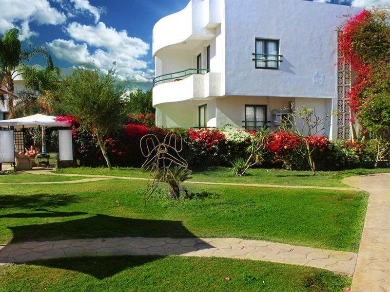 CFFEACB38A3C40ED403238AC87DE4A6A