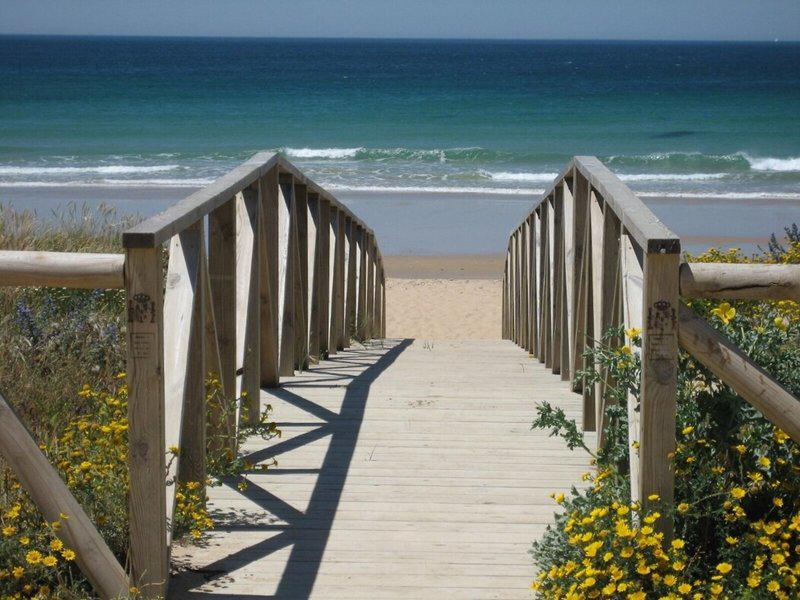 FE2F153624EF0D287F523AED6D515C3E