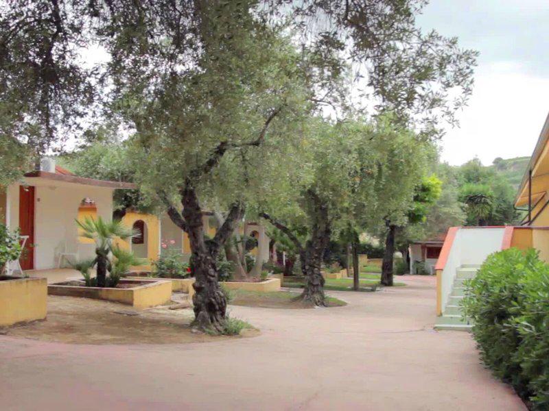 472BB5BF8F22AA87186227E1DB4512CC