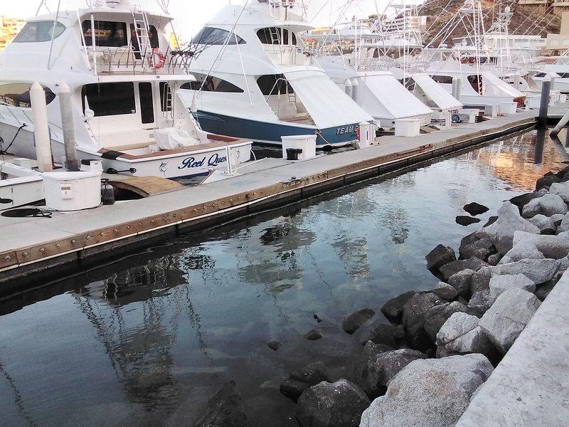 81D8AD40D4CBAE211C52F7ACC4C219D9