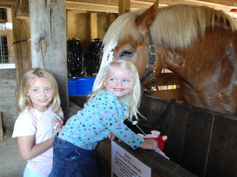 4B1900F9843F9F70FB2B30373BD490A3