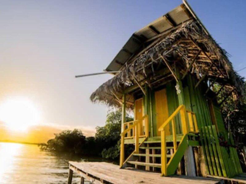 53B0EE16B8800C0351DA5928C255C9E8