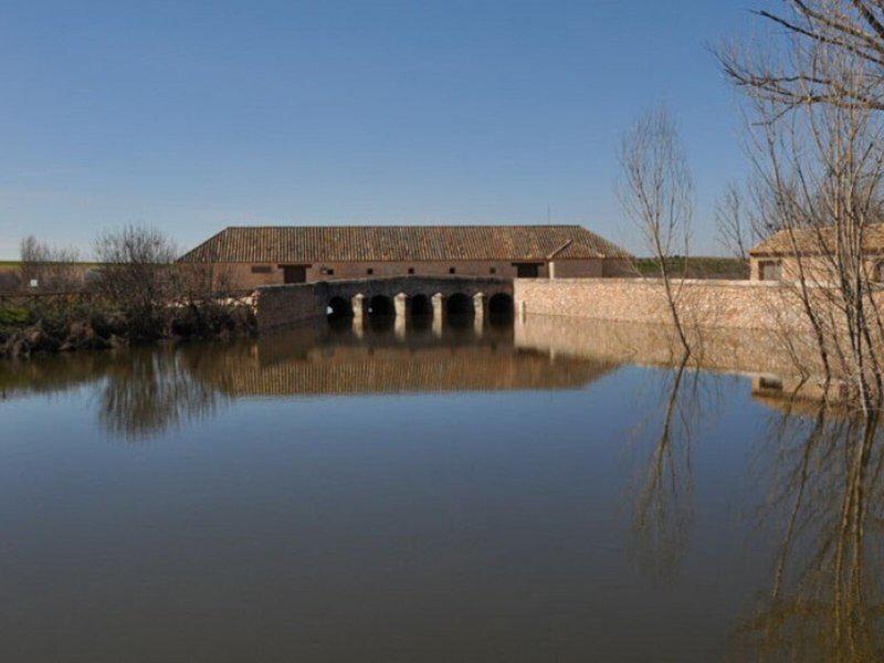 CB8434E3C4144C302A565C054F74A337