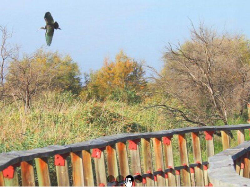 488564D3091962253F2FE06913060DD4