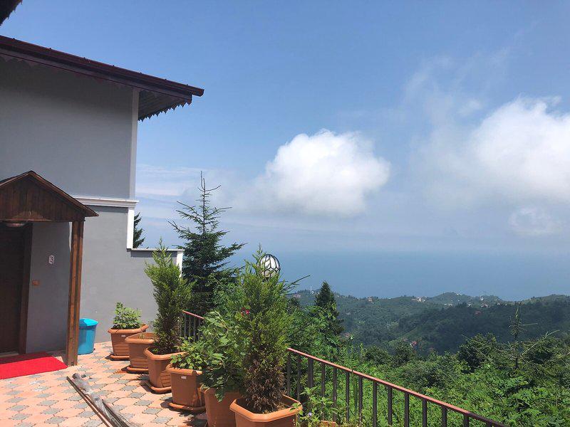 6ACFE7DE152413DA2B9C8632021CA9CF