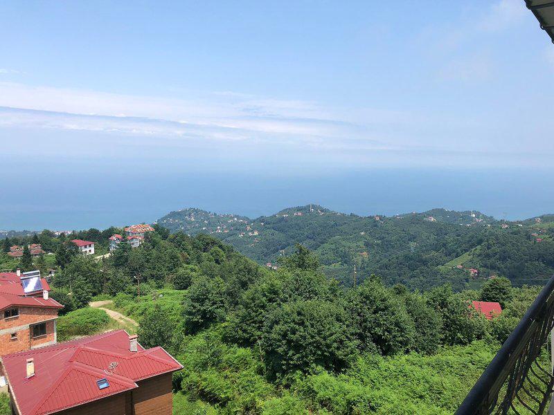 D59854AE65F988550FAD51DB4AEF33A1