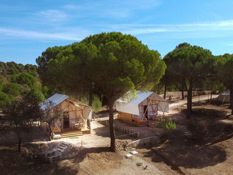 DD91E0AFB8F58C48AB806968EC9EF814