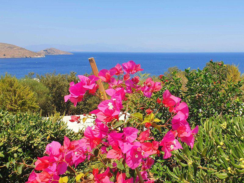 A766108852AD9ED06888C216C9A8C3D9