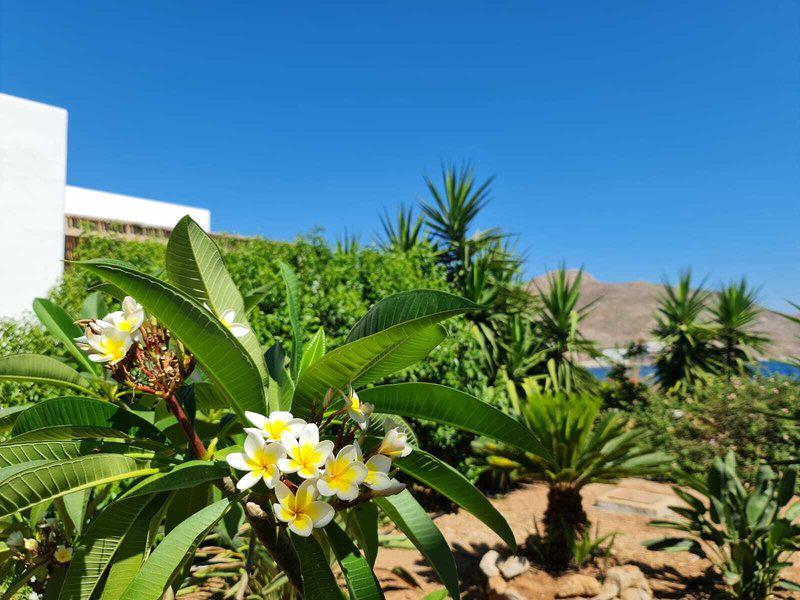 FEDD373F6CA8A5BFEEE6E814EFFB196A