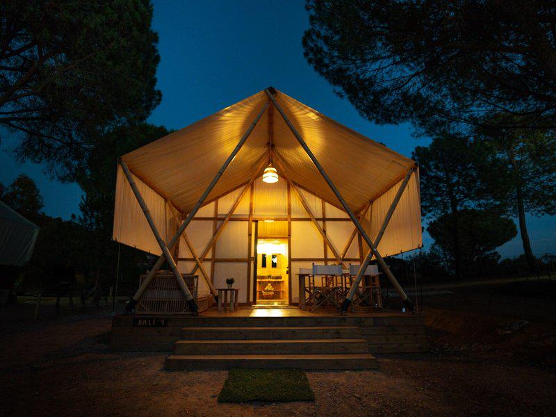 F0E9FB65BE21525D6BBAFBBB26610B96