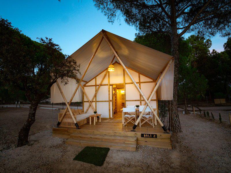 C0C1D4ED9DC126599928F364676C35CE