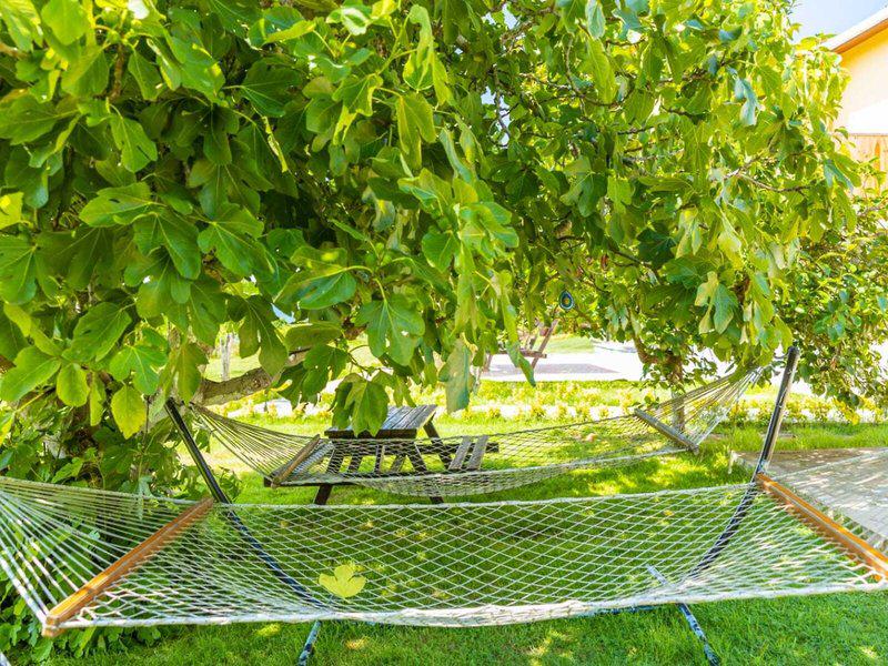 A1A8FEF2A3C48C0FF10EC8AD667908A2