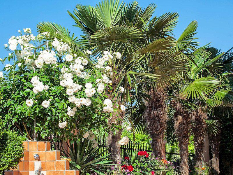 AC3742E366E8B0C266ABA64A57EC0F3B