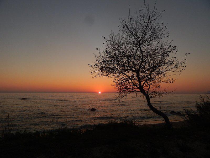 537F19BDCD6830B60E3A5968BC2F6D47