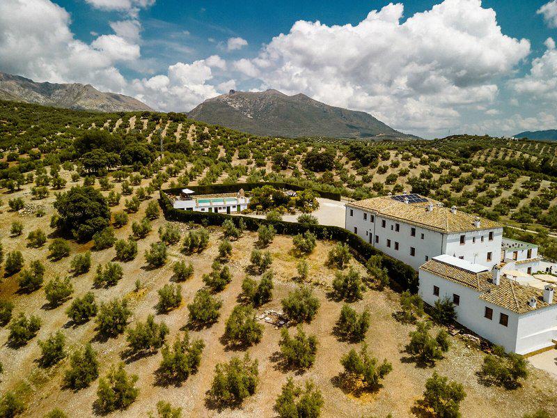 8A0E05CB2A88E0F4B0E9E53C3475DD50