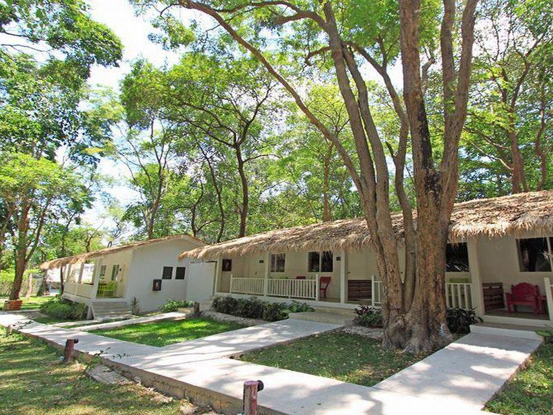 490F87CA13920AE4892A8A72D64323DE