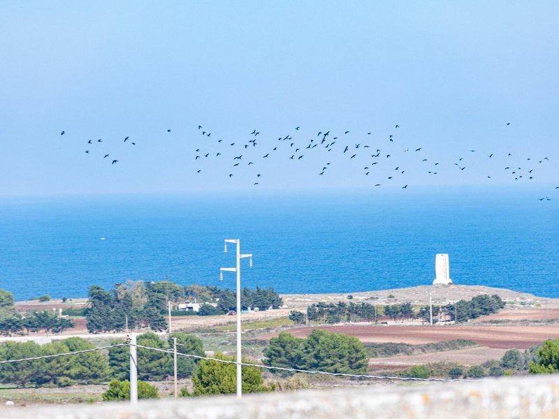 458CC98BFAE35C4B703A2D0778185F8D