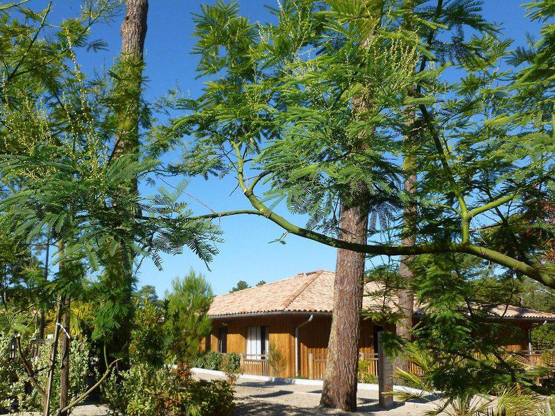 37040B3518B28D50E1B0A7EE72D8F626