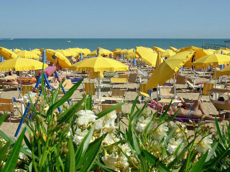 8D21168E72C6F8BB69899B87574E880E